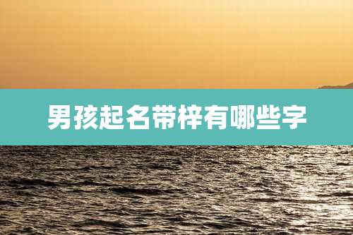 男孩起名带梓有哪些字