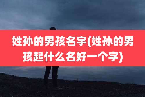 姓孙的男孩名字(姓孙的男孩起什么名好一个字)