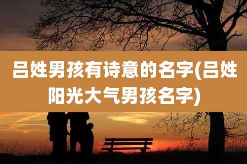 吕姓男孩有诗意的名字(吕姓阳光大气男孩名字)