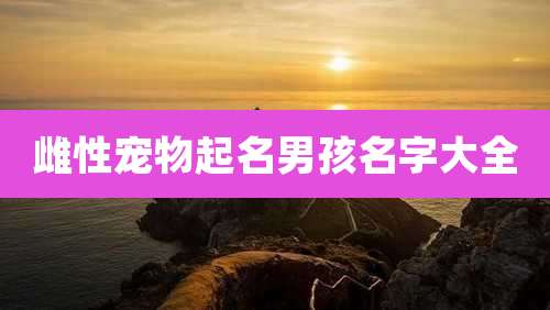 雌性宠物起名男孩名字大全