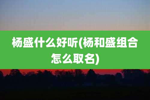 杨盛什么好听(杨和盛组合怎么取名)