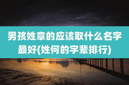 男孩姓章的应该取什么名字最好(姓何的字辈排行)