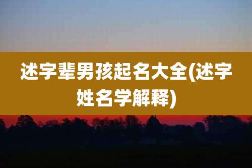 述字辈男孩起名大全(述字姓名学解释)