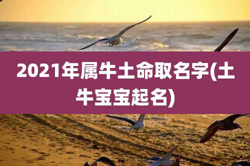 2021年属牛土命取名字(土牛宝宝起名)