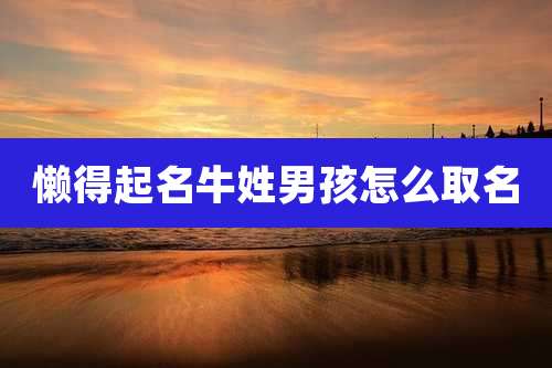 懒得起名牛姓男孩怎么取名