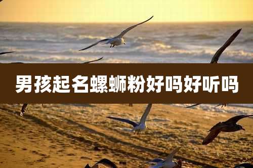 男孩起名螺蛳粉好吗好听吗