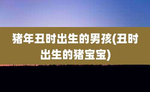 猪年丑时出生的男孩(丑时出生的猪宝宝)