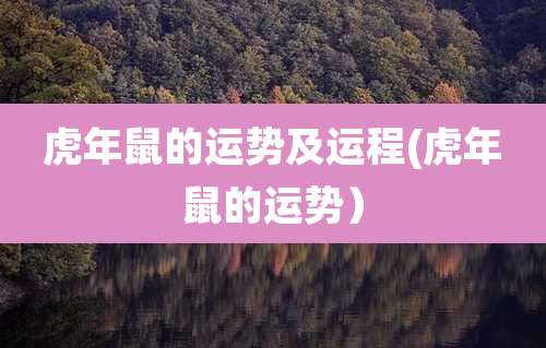 虎年鼠的运势及运程(虎年鼠的运势）