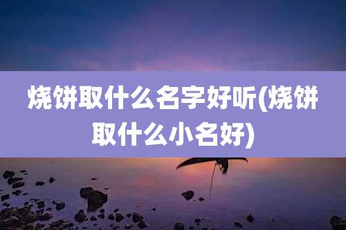 烧饼取什么名字好听(烧饼取什么小名好)