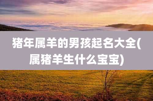 猪年属羊的男孩起名大全(属猪羊生什么宝宝)