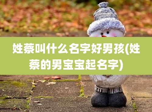姓蔡叫什么名字好男孩(姓蔡的男宝宝起名字)