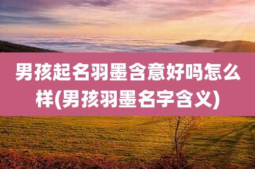 男孩起名羽墨含意好吗怎么样(男孩羽墨名字含义)