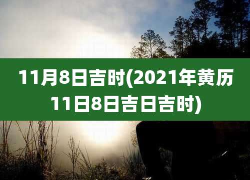 11月8日吉时(2021年黄历11日8日吉日吉时)