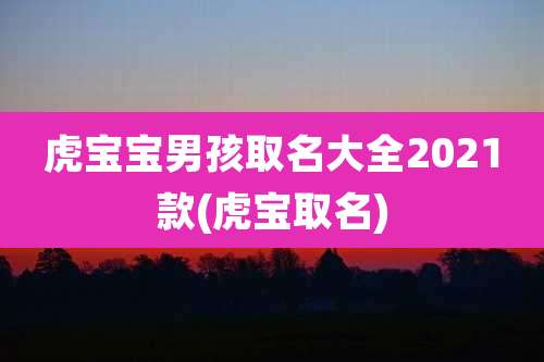 虎宝宝男孩取名大全2021款(虎宝取名)