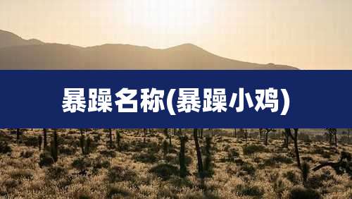 暴躁名称(暴躁小鸡)