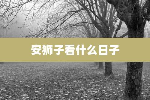 安狮子看什么日子