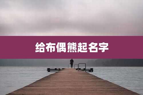 给布偶熊起名字