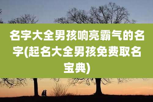 名字大全男孩响亮霸气的名字(起名大全男孩免费取名宝典)