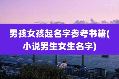 男孩女孩起名字参考书籍(小说男生女生名字)