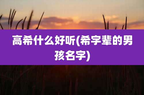 高希什么好听(希字辈的男孩名字)