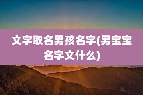 文字取名男孩名字(男宝宝名字文什么)