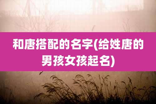 和唐搭配的名字(给姓唐的男孩女孩起名)