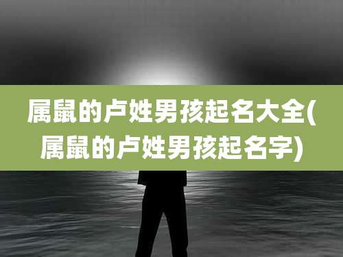 属鼠的卢姓男孩起名大全(属鼠的卢姓男孩起名字)