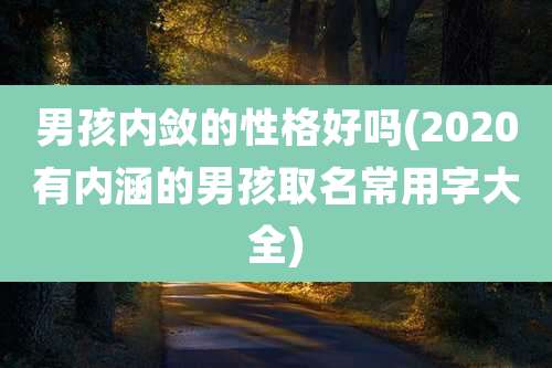 男孩内敛的性格好吗(2020有内涵的男孩取名常用字大全)