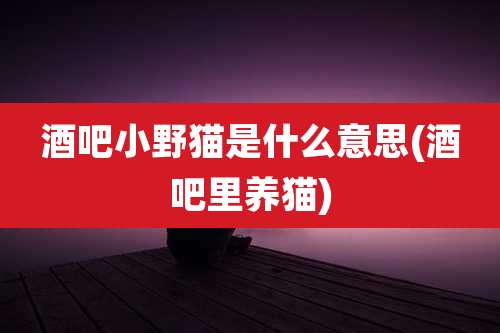 酒吧小野猫是什么意思(酒吧里养猫)
