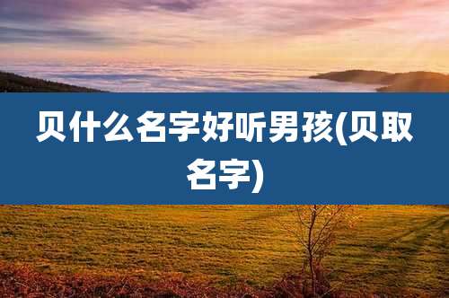 贝什么名字好听男孩(贝取名字)