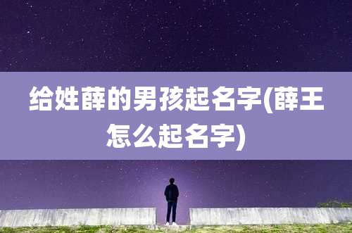 给姓薛的男孩起名字(薛王怎么起名字)