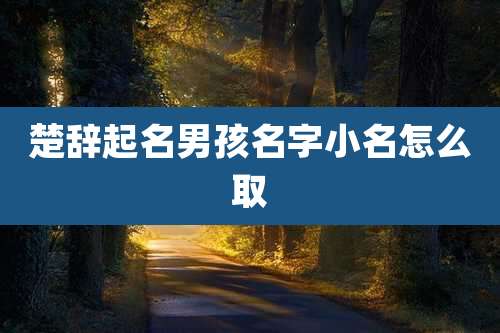 楚辞起名男孩名字小名怎么取