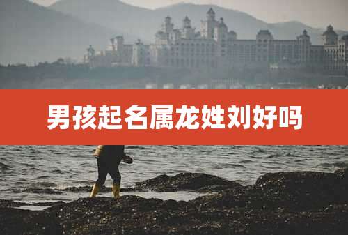 男孩起名属龙姓刘好吗