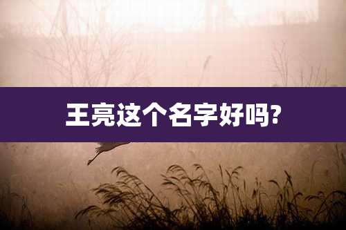 王亮这个名字好吗?