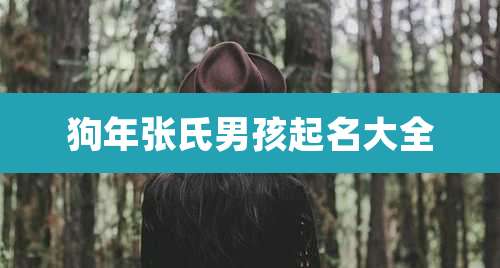 狗年张氏男孩起名大全
