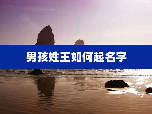 男孩姓王如何起名字