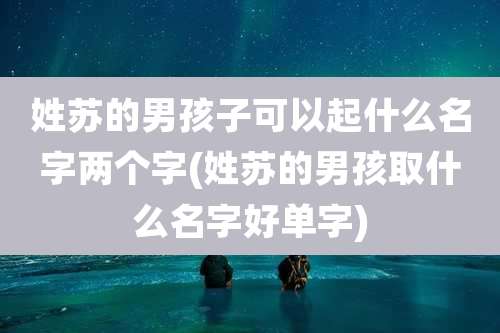 姓苏的男孩子可以起什么名字两个字(姓苏的男孩取什么名字好单字)