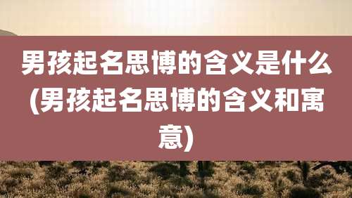 男孩起名思博的含义是什么(男孩起名思博的含义和寓意)