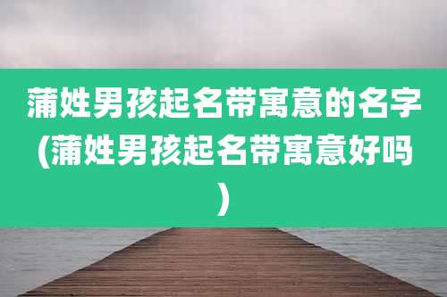蒲姓男孩起名带寓意的名字(蒲姓男孩起名带寓意好吗)