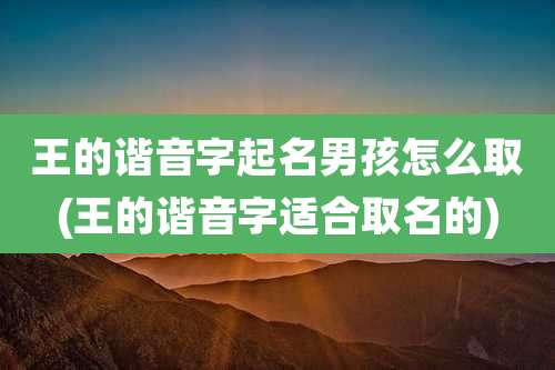 王的谐音字起名男孩怎么取(王的谐音字适合取名的)