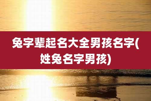 兔字辈起名大全男孩名字(姓兔名字男孩)