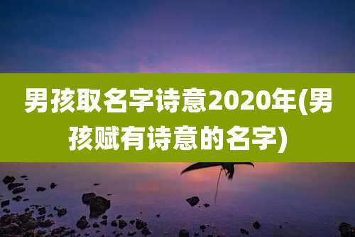 男孩取名字诗意2020年(男孩赋有诗意的名字)