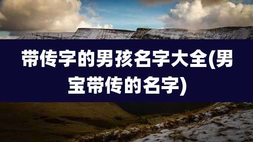 带传字的男孩名字大全(男宝带传的名字)