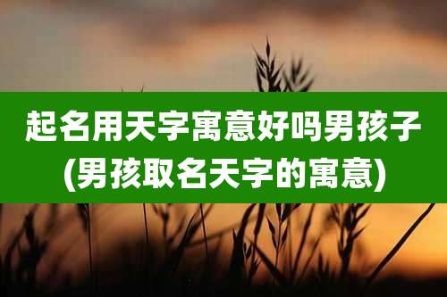 起名用天字寓意好吗男孩子(男孩取名天字的寓意)