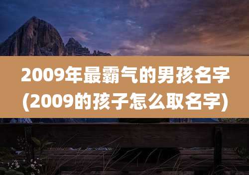 2009年最霸气的男孩名字(2009的孩子怎么取名字)