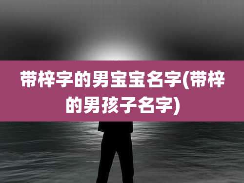 带梓字的男宝宝名字(带梓的男孩子名字)