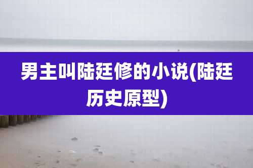 男主叫陆廷修的小说(陆廷历史原型)