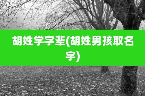 胡姓学字辈(胡姓男孩取名字)