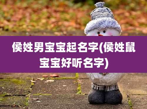 侯姓男宝宝起名字(侯姓鼠宝宝好听名字)