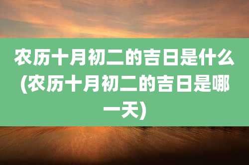 农历十月初二的吉日是什么(农历十月初二的吉日是哪一天)